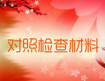 對照檢查材料范文